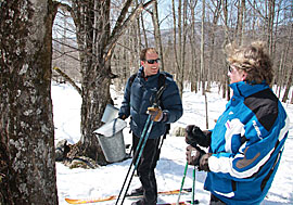 Sam von Trapp Checks Out a Maple Sugar Tree